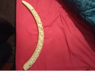 ΕΛΕΦΑΝΤΌΔΟΝΤΟ 