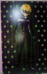 ΠΟΣΤΕΡ LADYBUG/CATNOIR-thumb-1
