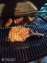 Weber Q3200 με Βάση