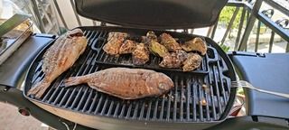 Weber Q3200 με Βάση-thumb-4