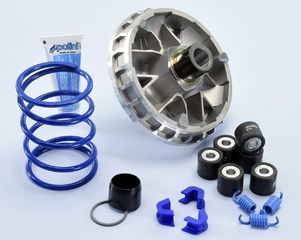 ΒΑΡΙΑΤΟΡ HI-SPEED SYM CITYCOM 300  JOYMAX 250/300 241.742 | POLINI