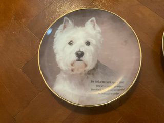 2 Πιάτα αγγλιας Danbury mint -thumb-1