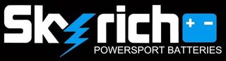 Μπαταρία LITHIUM 48V 20Ah Αποσπώμενη SKYRICH POWER ELECTRIC SCOOTERS Δωρεάν Μεταφορά!!!-thumb-4