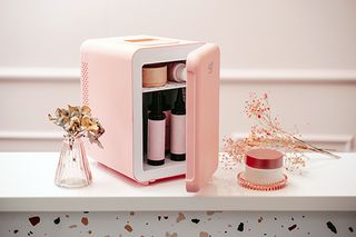 ADLER MINI FRIDGE 4L PINK