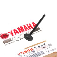 ΒΑΛΒΙΔΑ ΕΙΣΑΓΩΓΗΣ CRYPTON Χ 135   OR