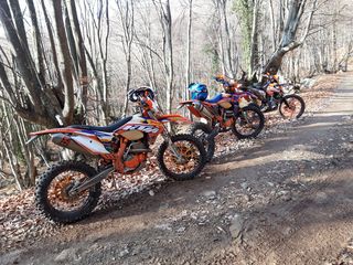 KTM 350 EXC-F SIX DAYS '15