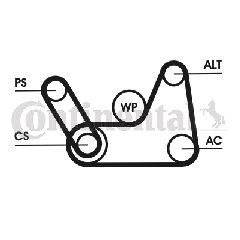 ΣΕΤ ΙΜΑΝΤΑΣ ELAST. MAZDA 2,FORD FOCUS,FIESTA  CONTITECH CONTINENTAL CTAM 6PK1019 ELAST T1