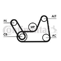 ΣΕΤ ΙΜΑΝΤΑΣ ELAST. MAZDA 2,FORD FOCUS,FIESTA  CONTITECH CONTINENTAL CTAM 6PK1019 ELAST T1