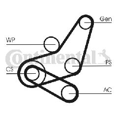 ΣΕΤ ΙΜΑΝΤΑΣ ELAST FORD FOCUS 1.4,1.6 04-  CONTITECH CONTINENTAL CTAM 6PK1059 ELAST T2