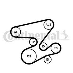 ΣΕΤ ΙΜΑΝΤΑ POLY-V BMW 3 (E46),5 (E60),X3 (E83) 03>    CONTI CONTINENTAL CTAM 6PK2080K1