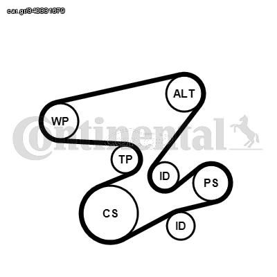 ΣΕΤ ΙΜΑΝΤΑ POLY-V BMW 3 (E46),5 (E60),X3 (E83) 03>    CONTI CONTINENTAL CTAM 6PK2080K1