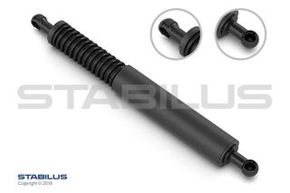 VAG TOUAREG ΑΜΟΡΤΙΣΕΡ ΜΠΑΓΚΑΖ ΑΡ ΔΕΞ STABILUS STABILUS 2838ZN