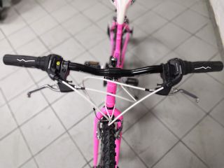 Trekking Capriolo 2020 PASSION LADY Γυναικείο 26"-thumb-3
