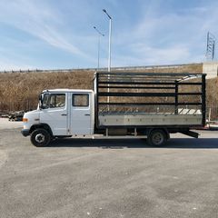 Διπλοκάμπινο Mercedes-Benz 2007 816D-thumb-8