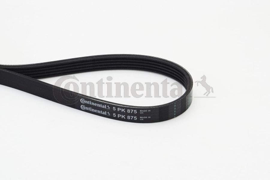 Continental Ctam Ιμάντας poly-V - 5PK875