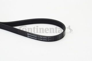 Continental Ctam Ιμάντας poly-V - 5PK875