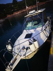Lambro Boat '96 27 Bluewater