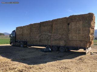 Τριφυλία  300+kg-thumb-1