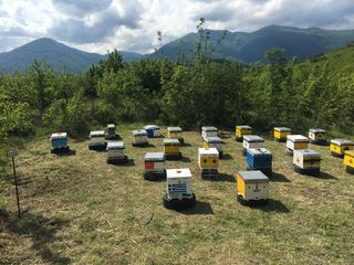 πωλειται μελισσοκομικος εξοπλισμος
