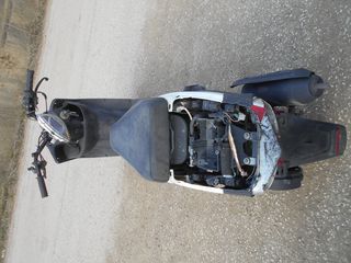 DAYTONA CARGO-thumb-2