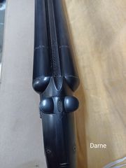 Darne δίκανο 