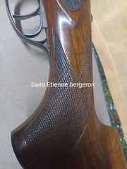 Saint Etienne bergeron super poze-thumb-3