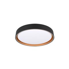 Φωτιστικό Οροφής RL Lighting Felis R64391080 Μαύρο Ματ