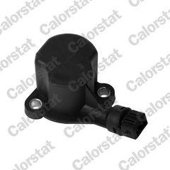 ΒΑΛΒΙΔΕΣ ΟΠΙΣΘΕΝ AUDI-VW-SEAT CALORSTAT by Vernet RS5558