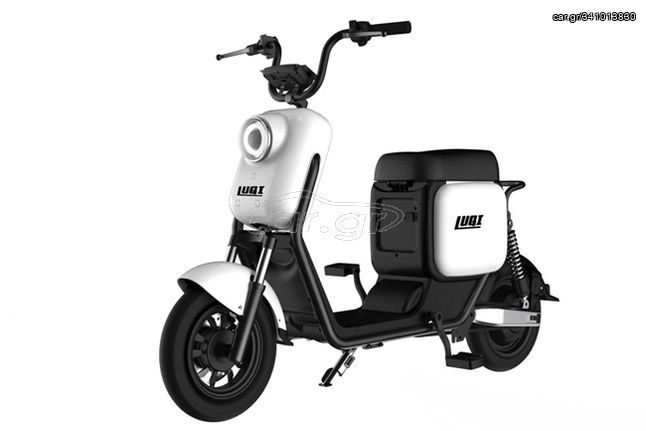 Roller/Scooter 2024 Q3  1000 W 48v 25 ah