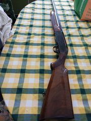 beretta A301-thumb-6