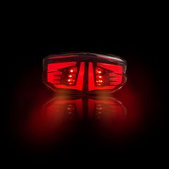 ΦΑΝΑΡΙ ΠΙΣΩ LED TITAN HONDA GTR150