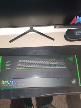 RAZER ORNATA V3 X