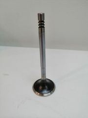 ΒΑΛΒΙΔΑ  ΕΞΑΓΩΓΗΣ LOMBARDINI KOHLER-thumb-2