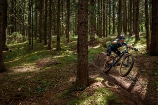 All - Mountain Kellys 2023 GIBON 50 MEDIUM 27,5-thumb-15