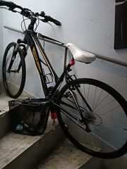 Trekking BH 2020 Renegade-thumb-1