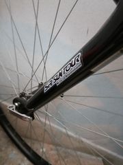 Trekking BH 2020 Renegade-thumb-5