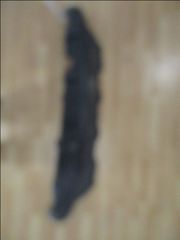 ΣΠΟΙΛΕΡ ΠΡΟΦΥΛΑΚΤΗΡΑ ΠΙΣΩ-thumb-1