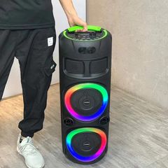 Φορητό ηχείο subwoofer με Λειτουργία Καραόκε 120 watt rms