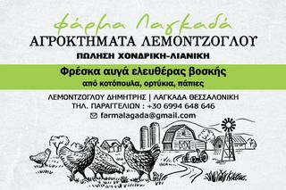 Παπάκια διάφορα χρώματα-thumb-1
