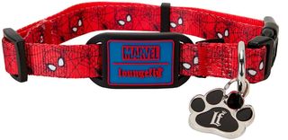 Loungefly Pets Disney: Marvel - Spider Man Dog Collar (S) (MVPDC0004S)