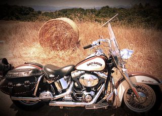 Harley Davidson Softail '02