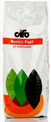 BORINC FAST 1 KL