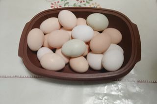 Πωλούνται φρέσκα μεγάλα χωριάτικα αυγά από κότες ελευθέρας βοσκής 