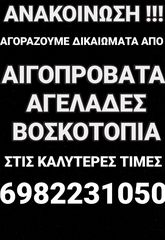 ΑΓΟΡΑ ΖΩΙΚΩΝ ΔΙΚΑΙΩΜΑΤΩΝ ΑΠΟ ΑΓΕΛΑΔΕΣ-ΑΙΓΟΠΡΟΒΑΤΑ-ΒΟΣΚΟΤΟΠΙΑ