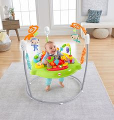 FISHER PRICE JUMPEROO ΛΙΟΝΤΑΡΑΚΙ (#CHM91)