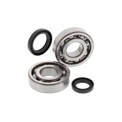 Σετ Ρουλεμαν & Τσιμουχες Στροφαλου Lt500R 87-92 24-1038 | All Balls