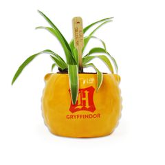 HARRY POTTER - Gryffindor - Plant Pot-thumb-1