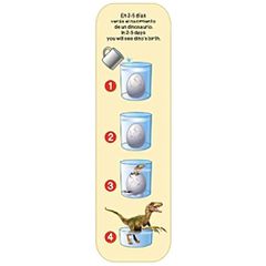 Dinosaur Egg birth 11cm-thumb-1