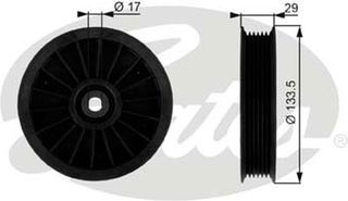 Gates Τροχαλία παρέκκλισης, Ιμάντας poly-V - T38034