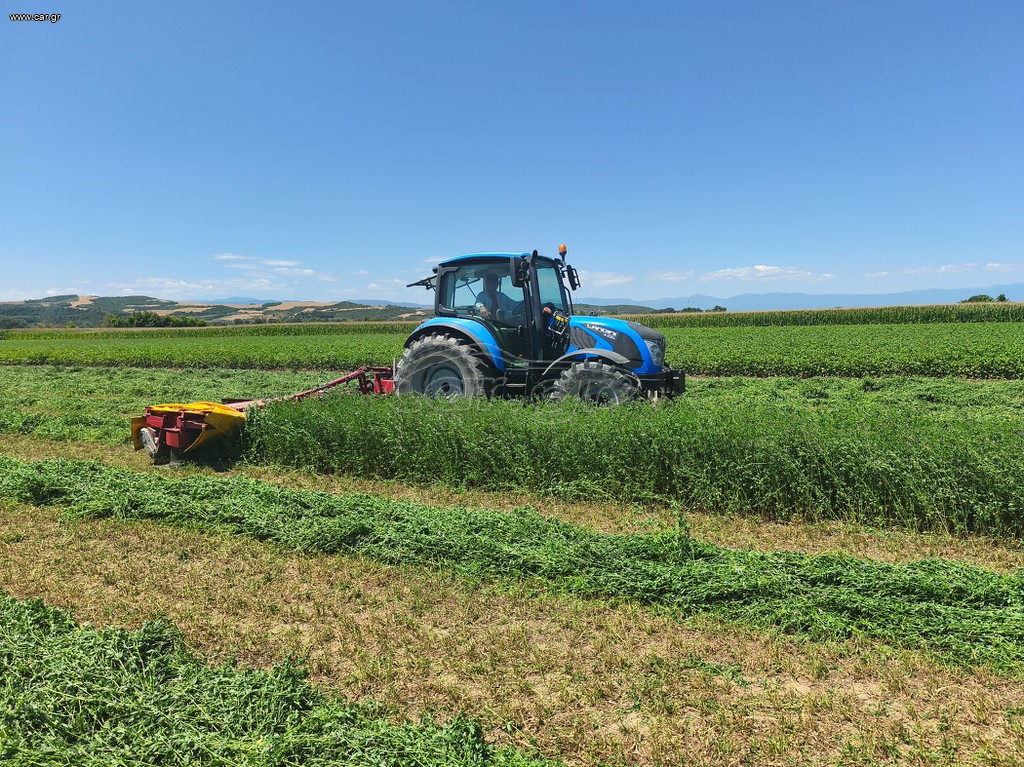 Τριφύλλι AAA